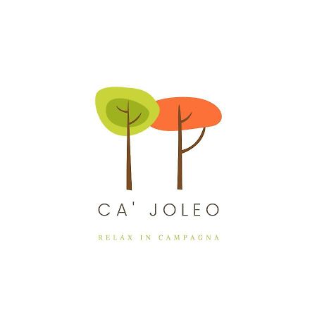 Ca'Joleo - Relax In Campagna Del Lago Di Garda San Giorgio in Salici Eksteriør bilde